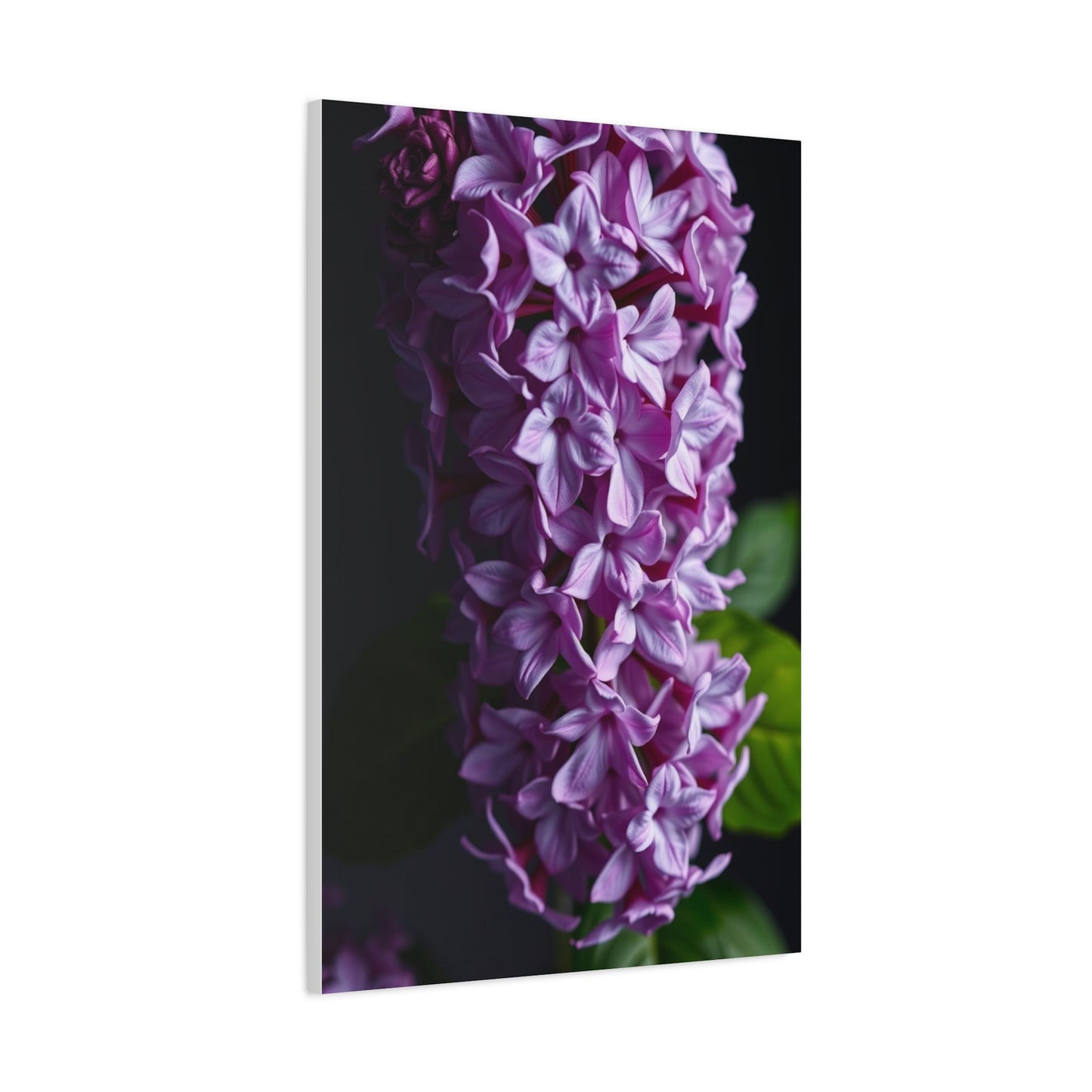 Lilac Flower Art Luxury Canvas Wall Art & Canvas Print