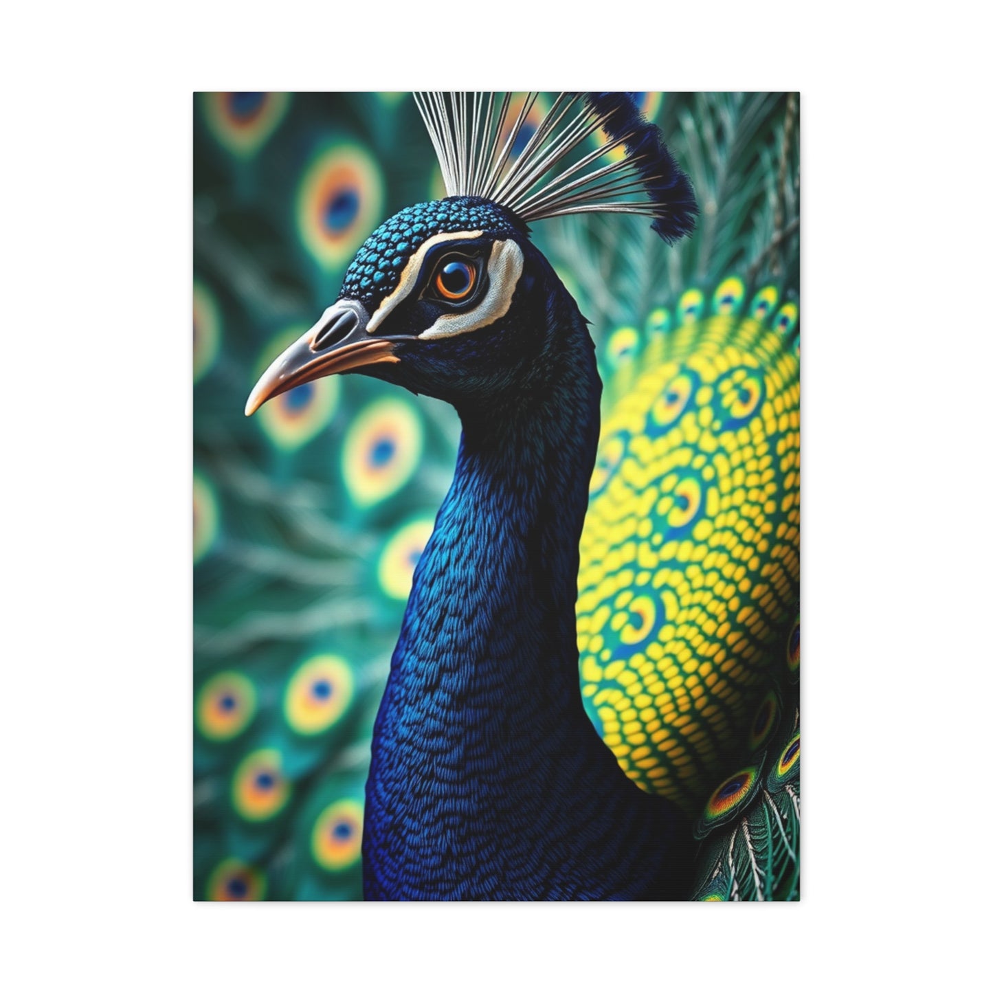 Elite Peacock Art Vision Wall Art & Canvas Print