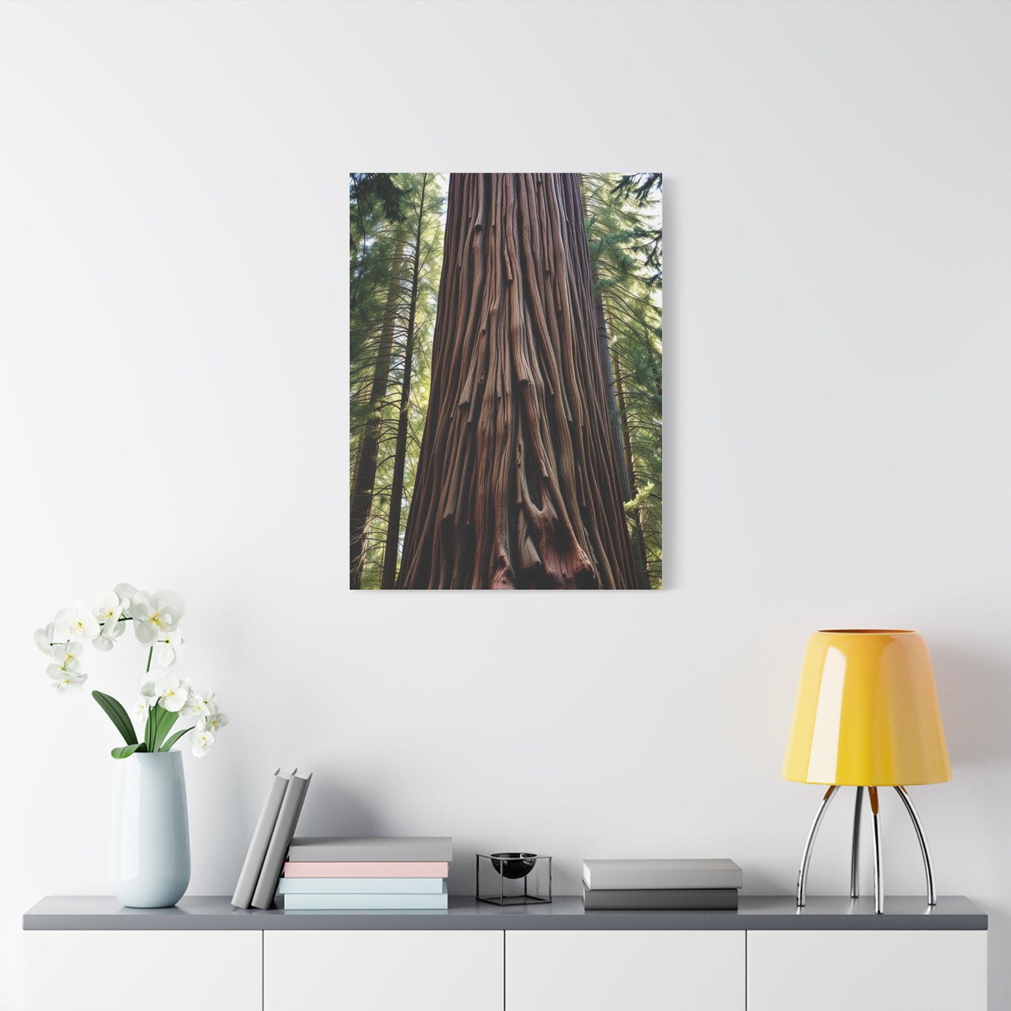 Collection Redwood Tree Art Art Wall Art & Canvas Print
