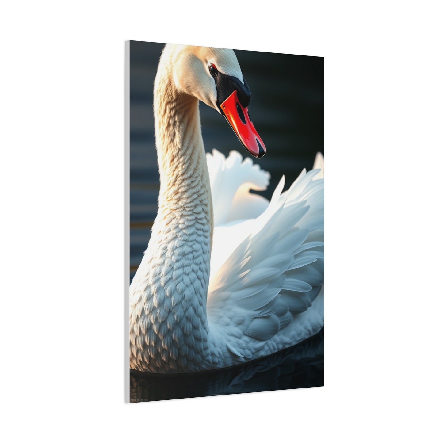 Swan Art Supreme Gallery Wall Art & Canvas Print