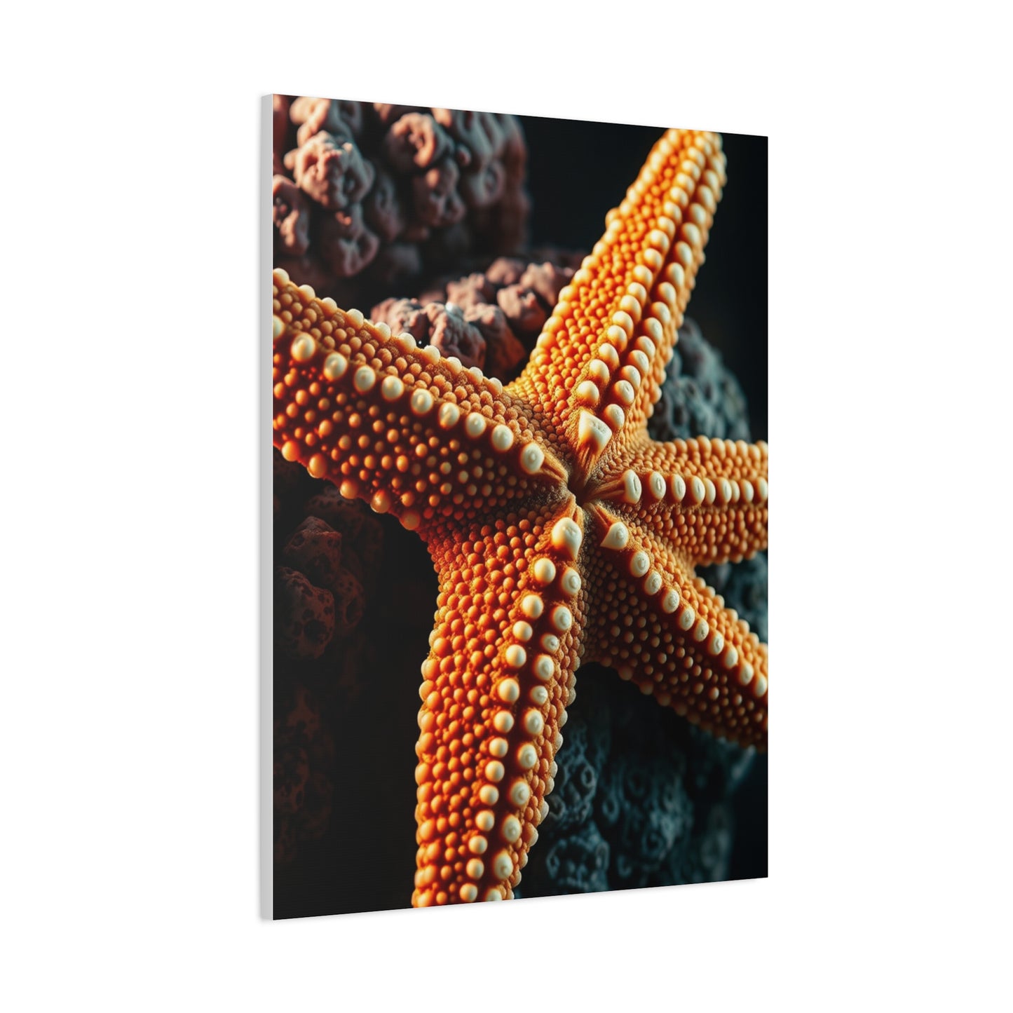 Collection Starfish Art Art Wall Art & Canvas Print