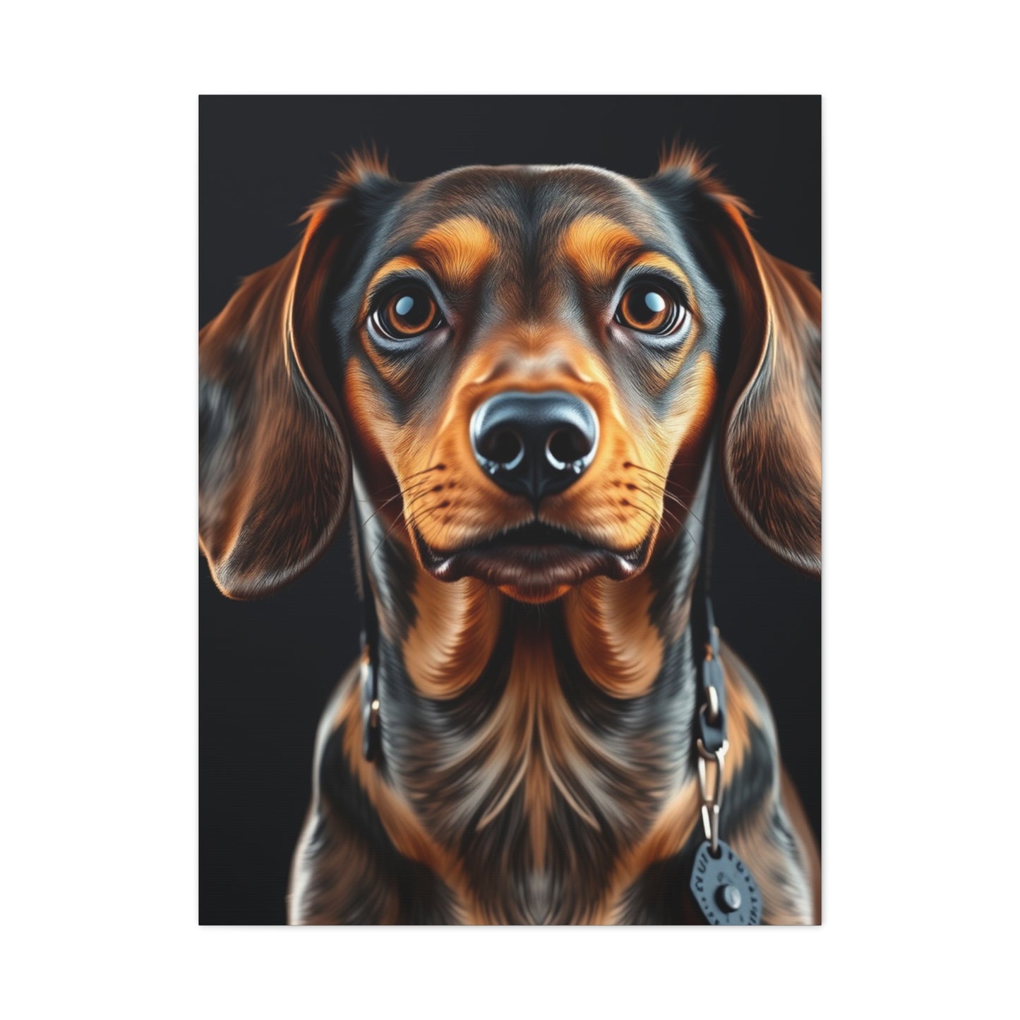 Supreme Dachshund Art Collection Wall Art & Canvas Print
