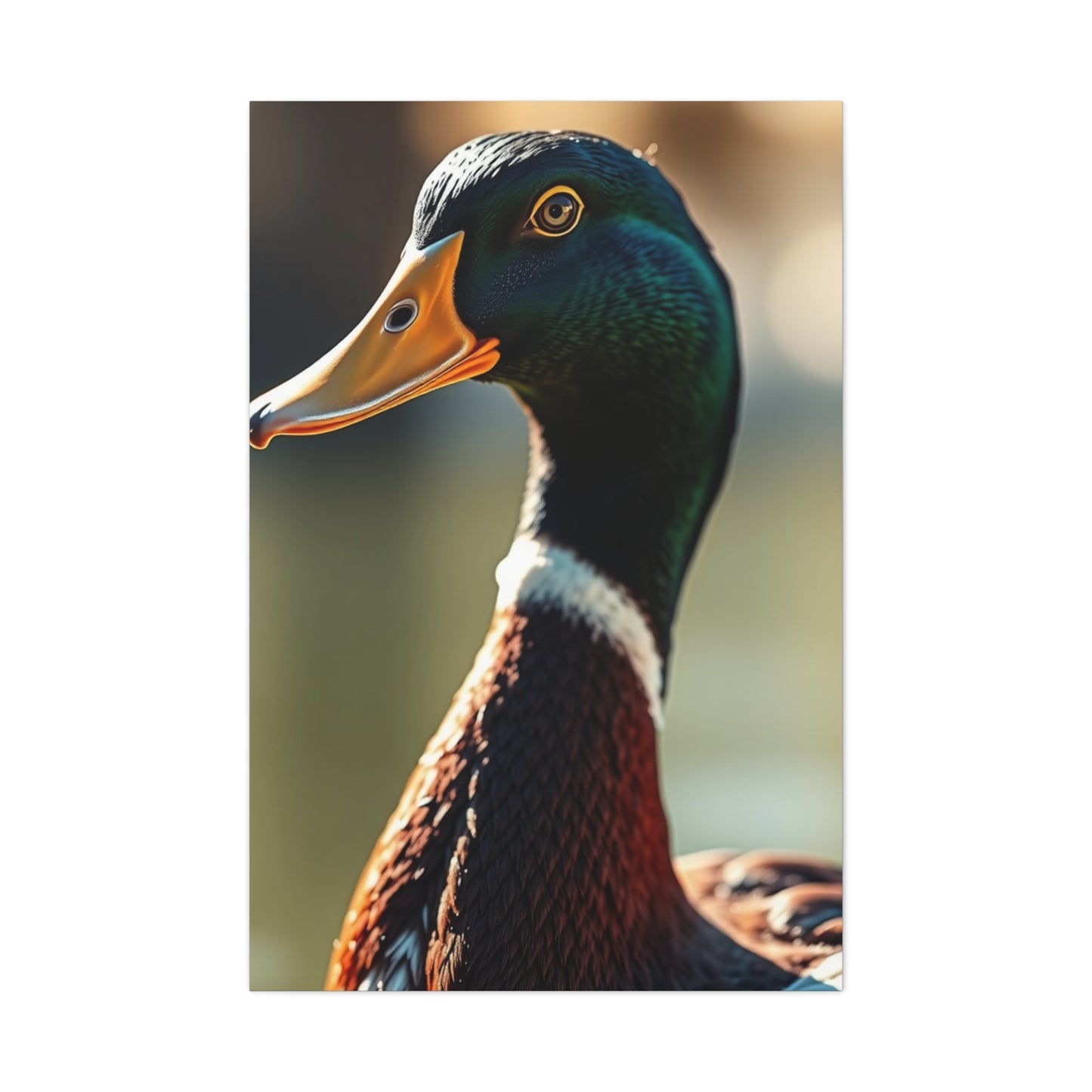 Supreme Duck Art Collection Wall Art & Canvas Print