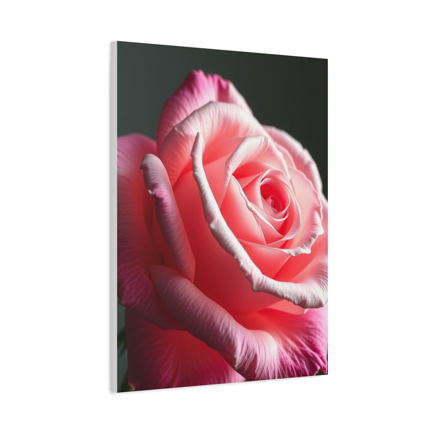 Supreme Rose Flower Art Collection Wall Art & Canvas Print