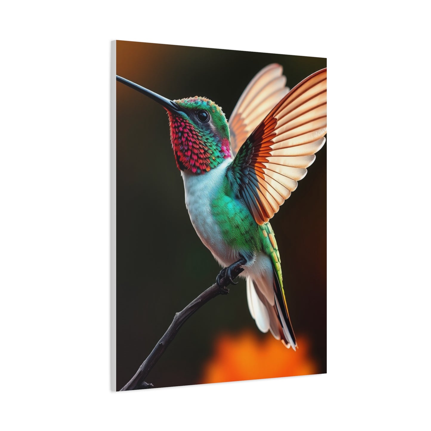 Humming Bird Art Luxury Canvas Wall Art & Canvas Print