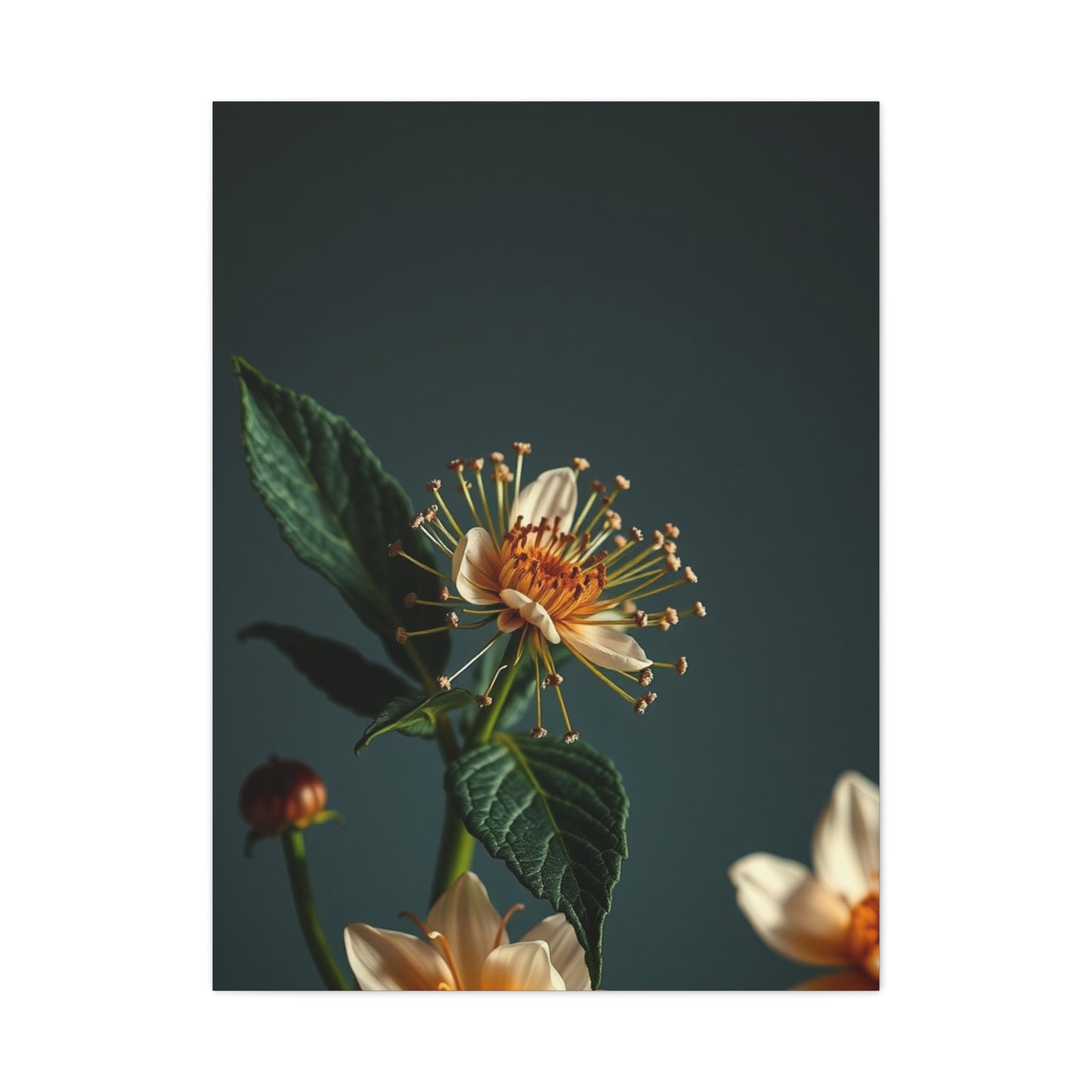 Supreme Flowers and Botanicals Art Collection Wall Art & Canvas Print