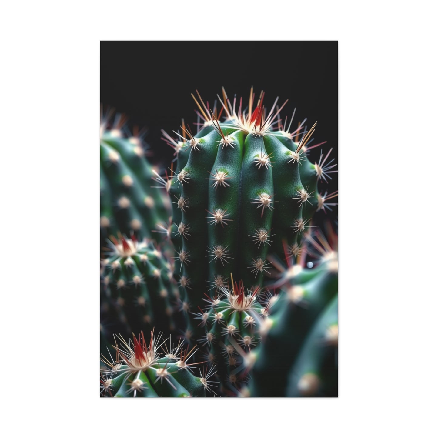 Verdant Desert Dreams Wall Art & Canvas Print