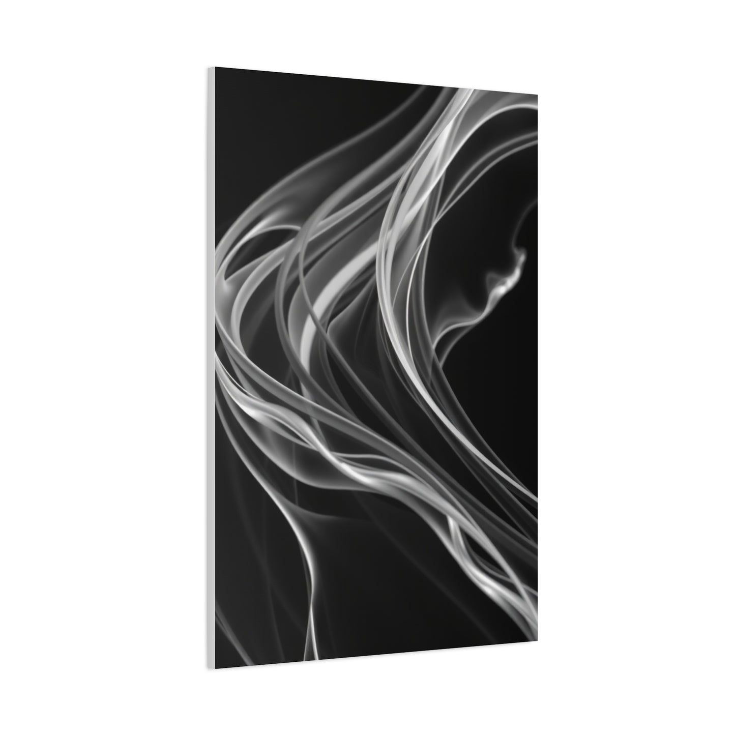 Vision Black and White Abstract Art Art Wall Art & Canvas Print