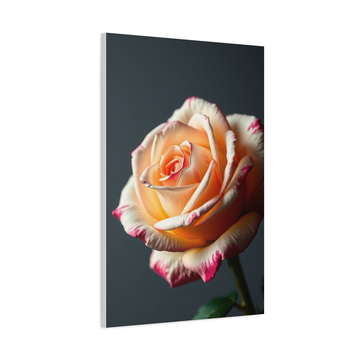 Elite Rose Flower Art Vision Wall Art & Canvas Print