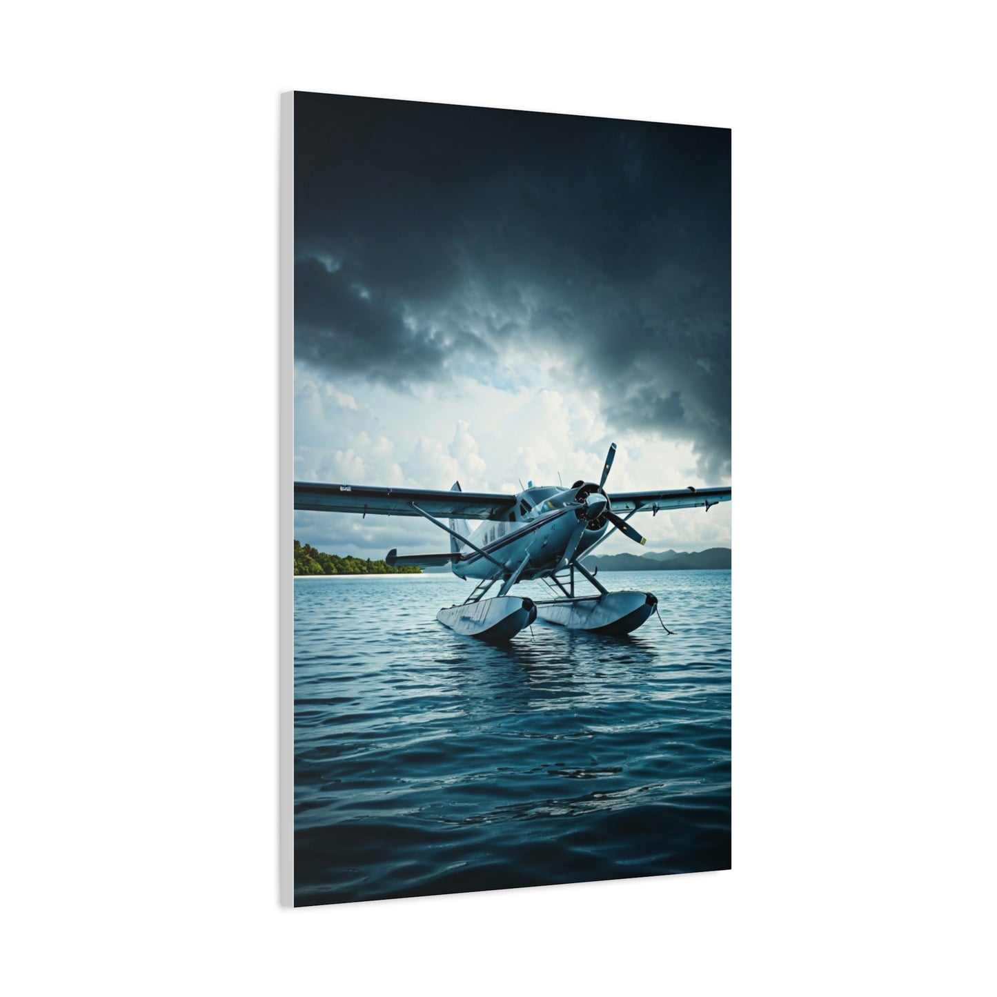 Seaplane Landing on Calm Waters Wall Art & Canvas Prints