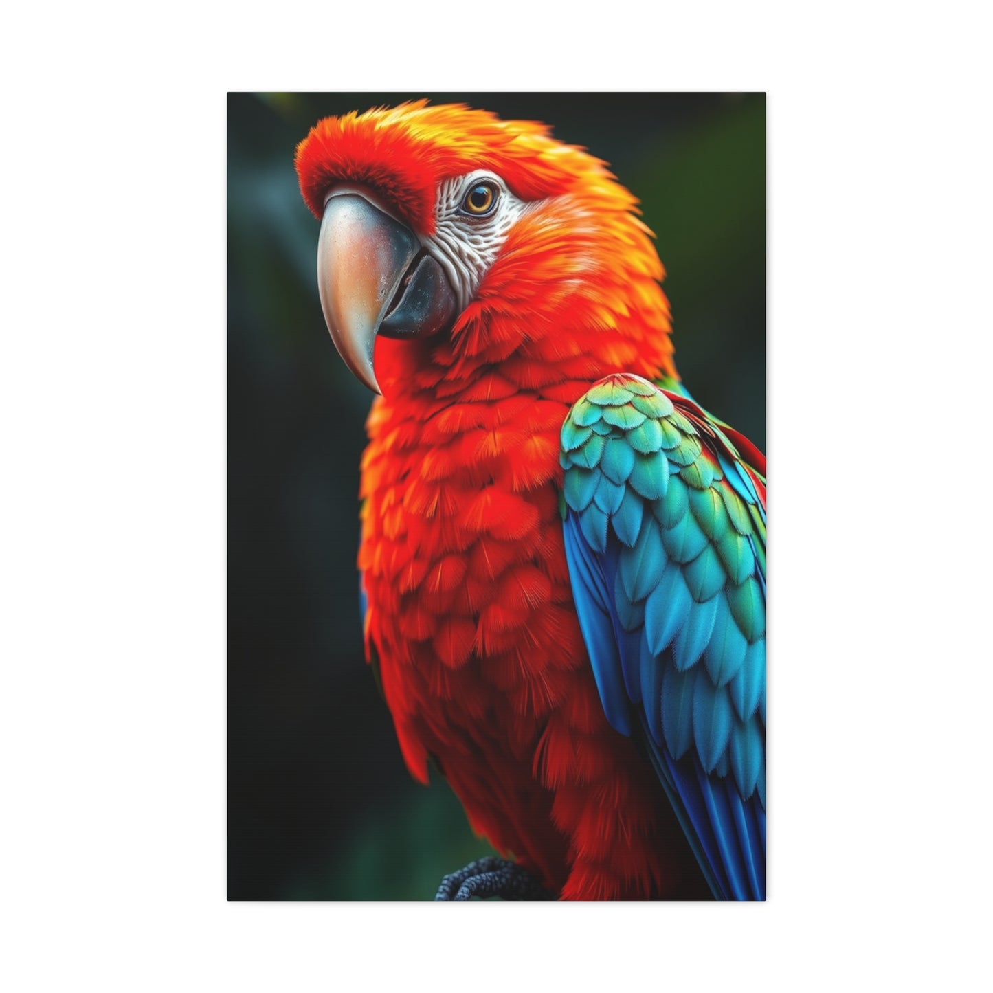 Supreme Tropical Birds Art Collection Wall Art & Canvas Print
