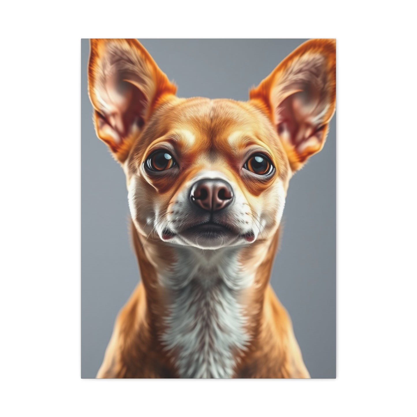 Supreme Chihuahua Dog Art Collection Wall Art & Canvas Print