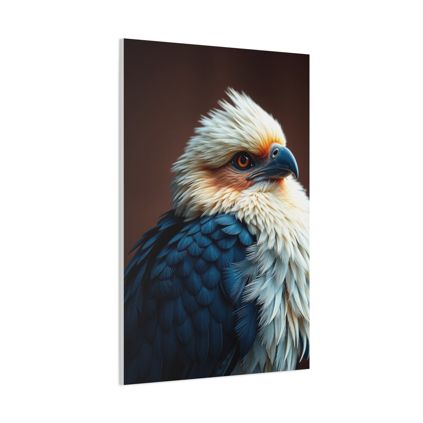 Aerial Ballet Composition Wall Art & Canvas Print