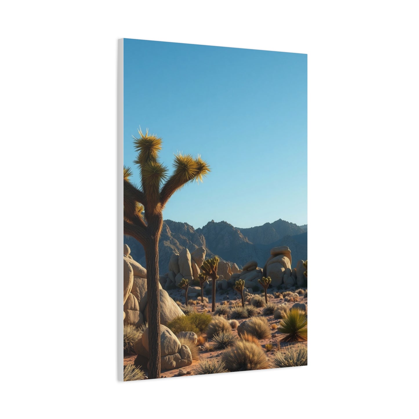 Supreme Joshua Tree National Park Art Collection Wall Art & Canvas Print