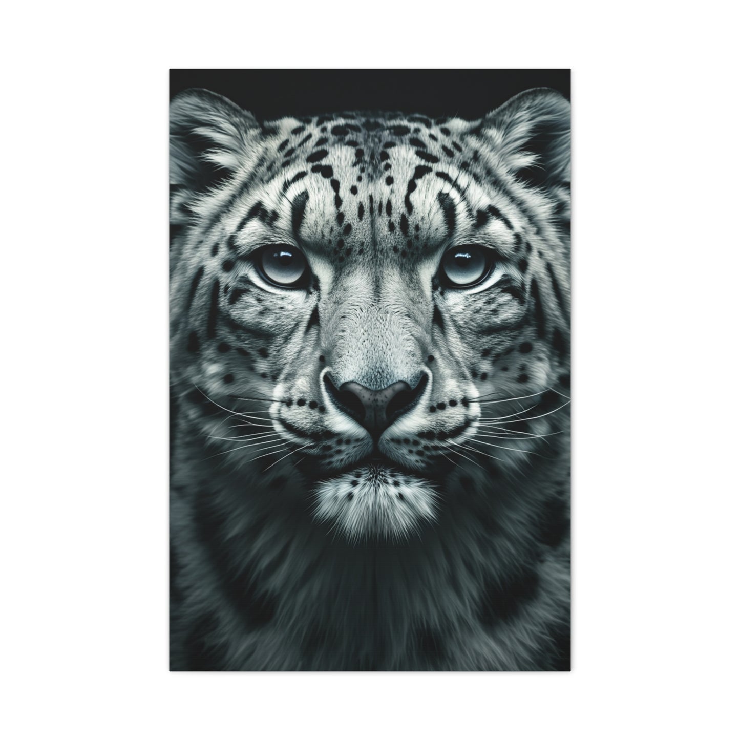 Snow Leopard Intense Gaze Wall Art & Canvas Prints