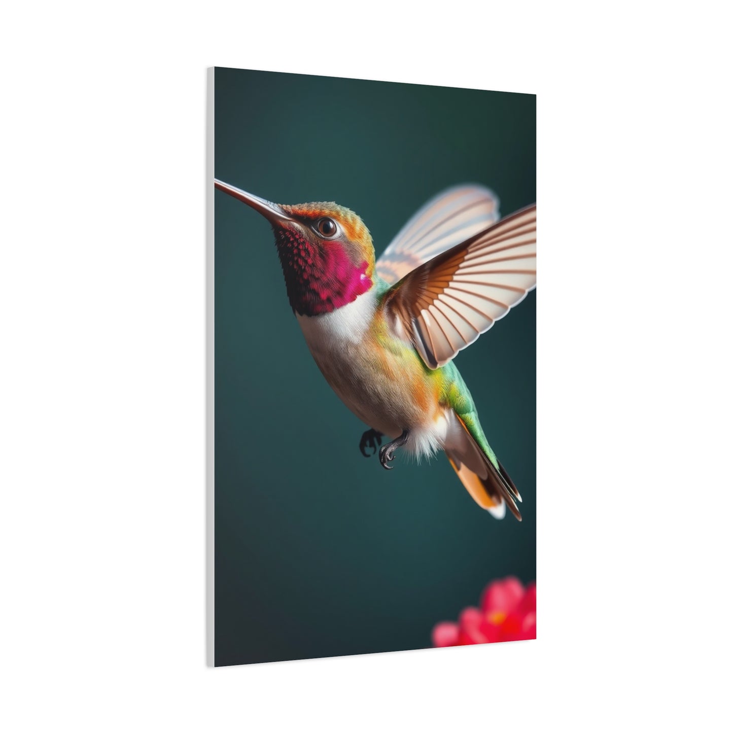 Humming Bird Art Refined Canvas Wall Art & Canvas Print