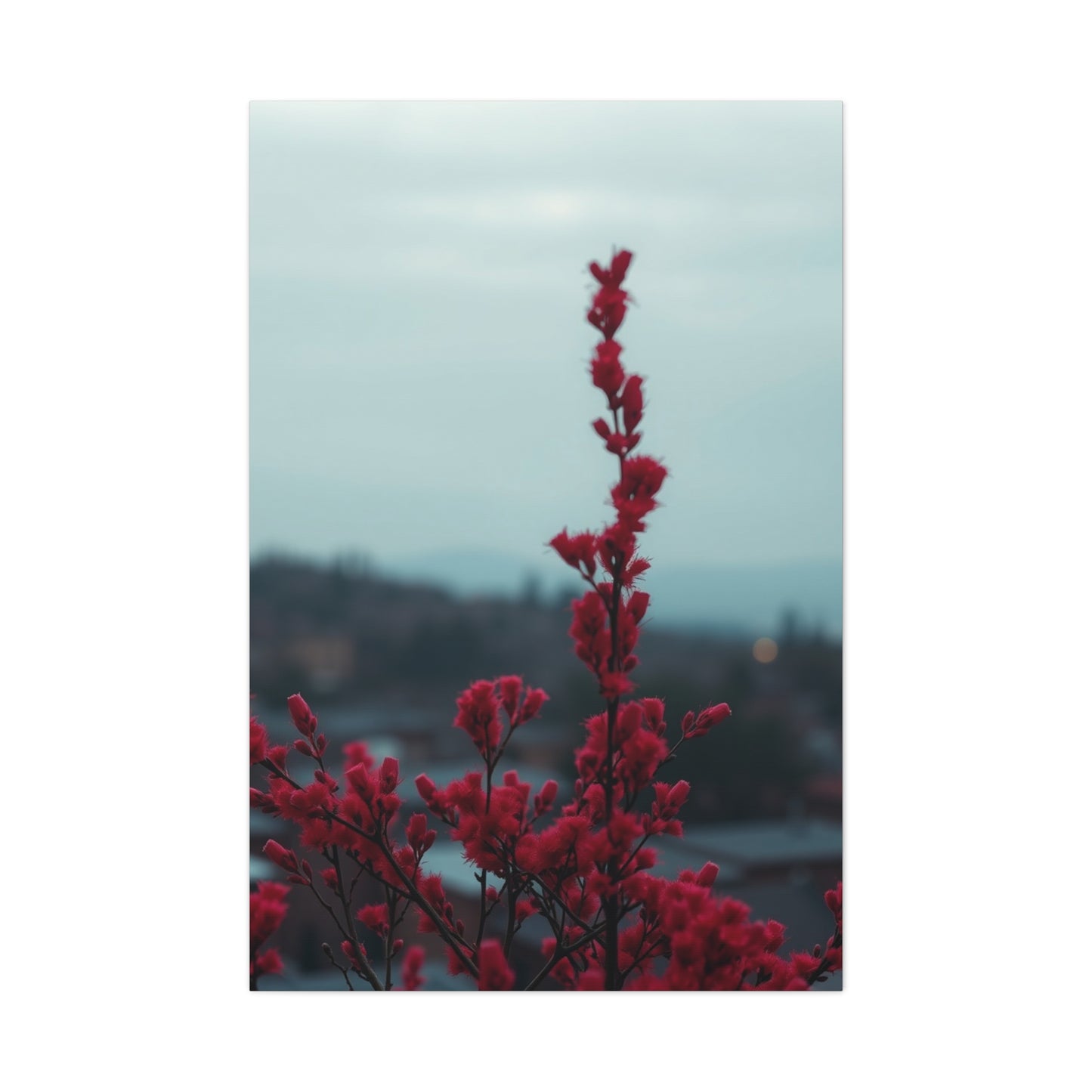 Rosy Elegance Wall Art Wall Art & Canvas Print