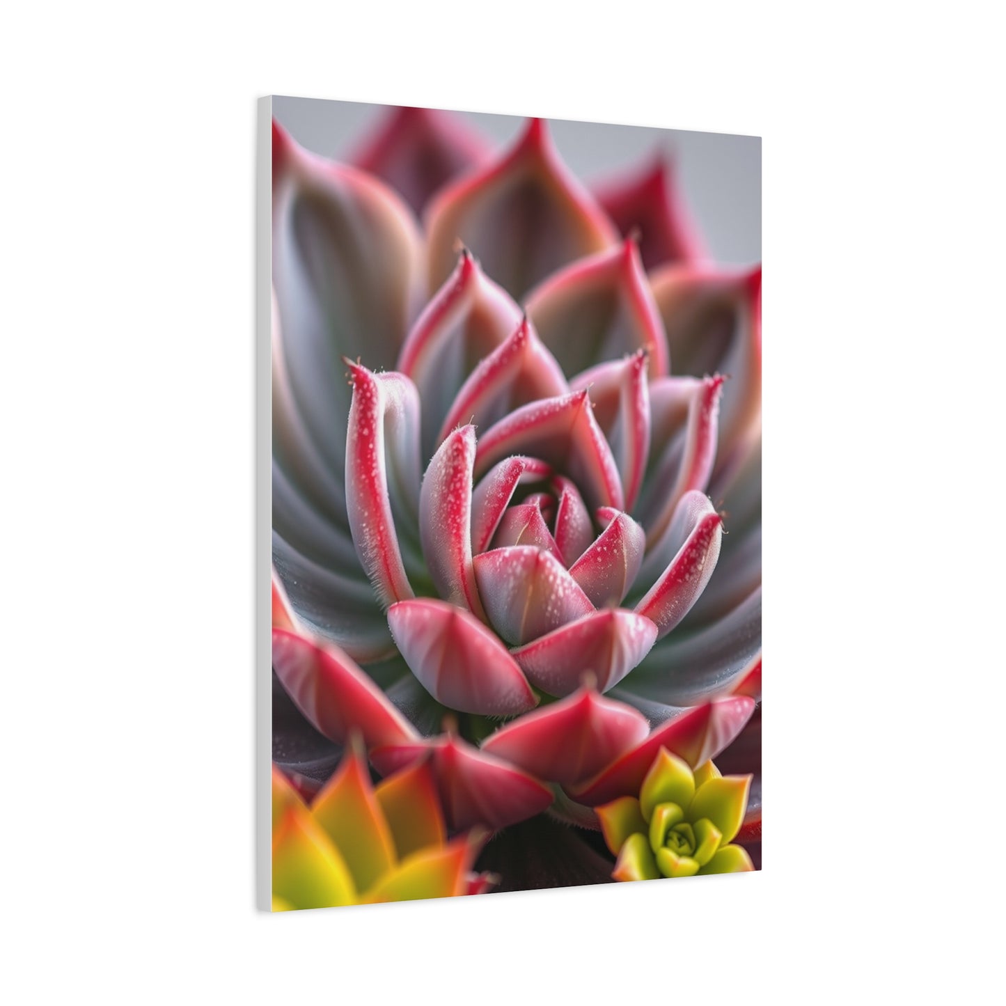 Succulent Art Supreme Gallery Wall Art & Canvas Print