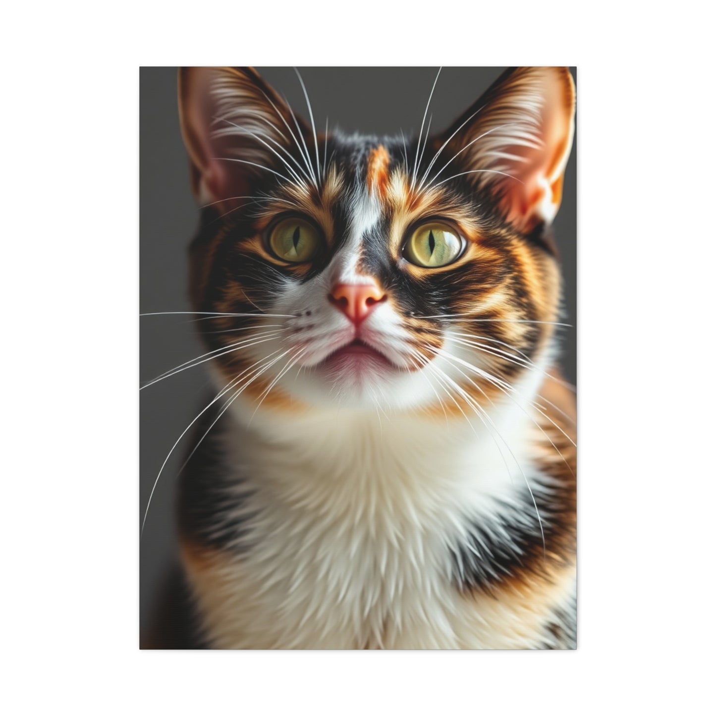 Vision Calico Cat Art Art Wall Art & Canvas Print