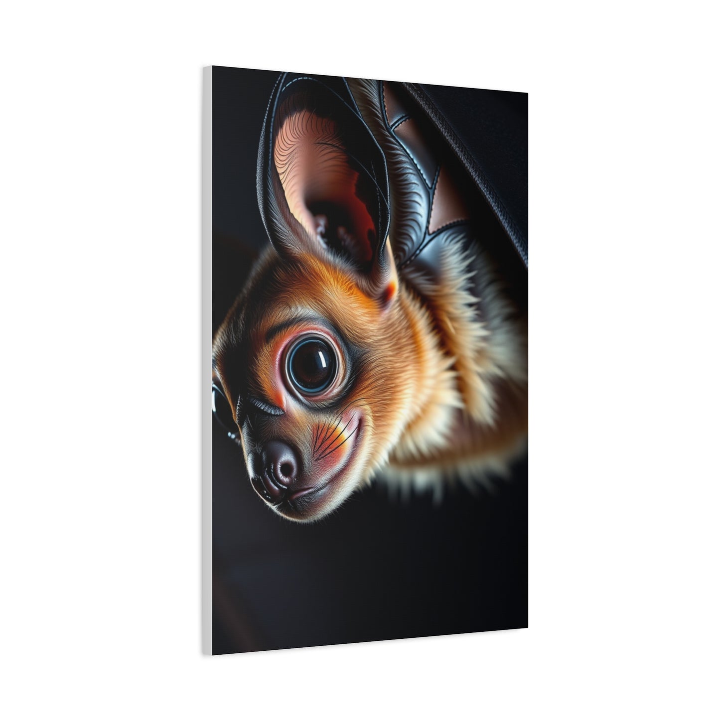 Supreme Bat Art Collection Wall Art & Canvas Print