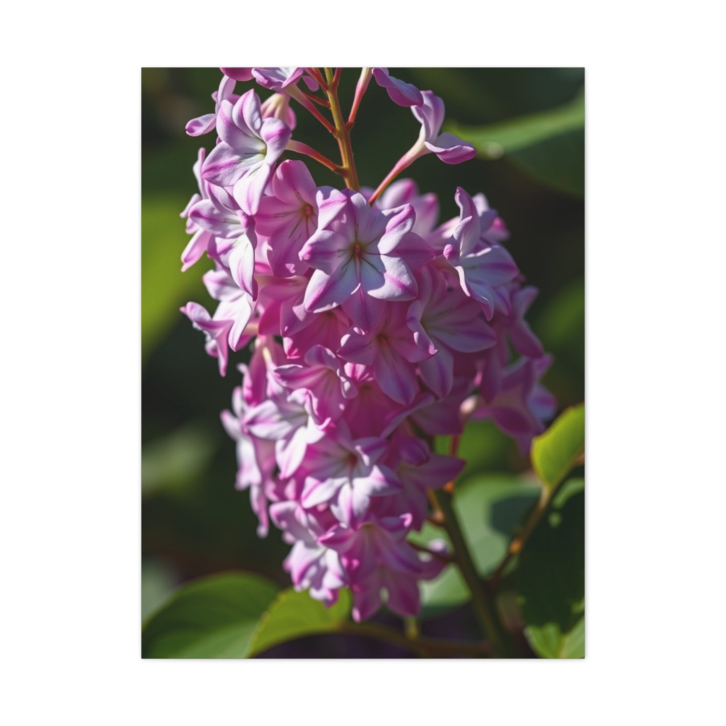 Lilac Flower Art Supreme Gallery Wall Art & Canvas Print