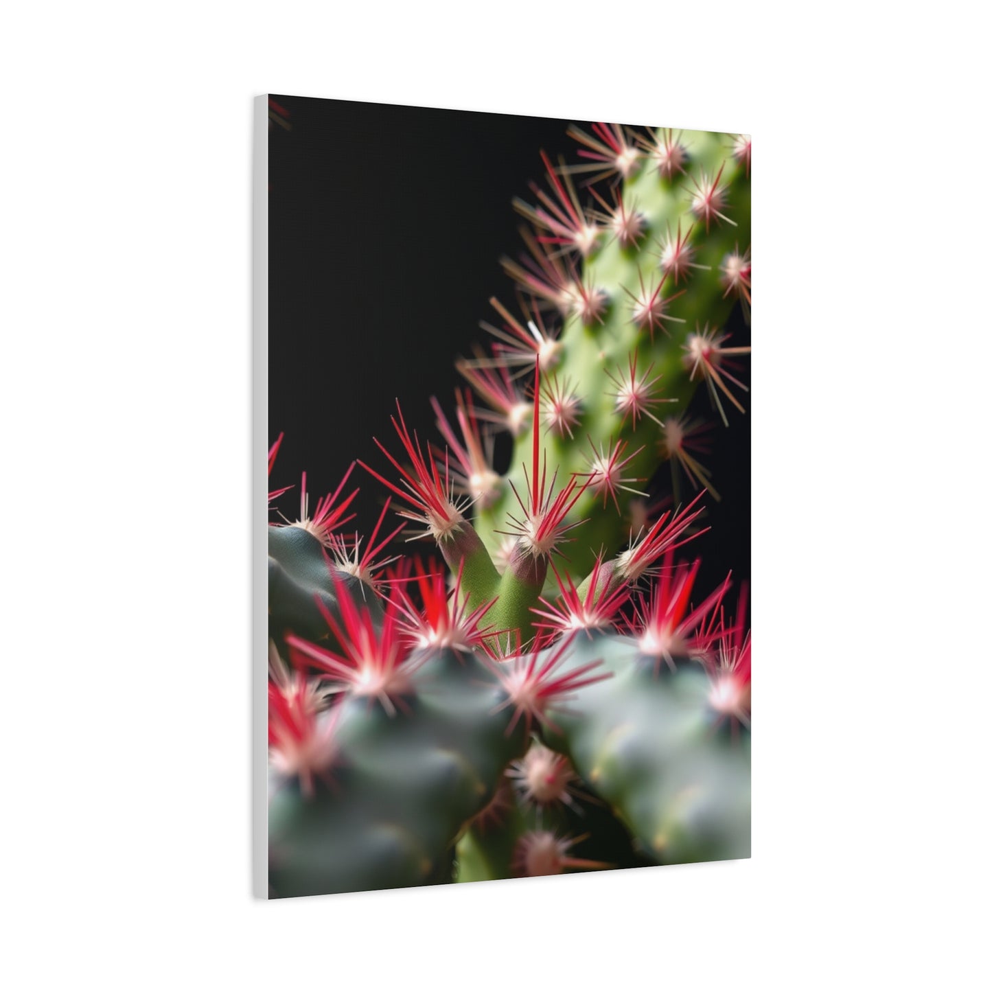 Succulent Symphony Wall Art Wall Art & Canvas Print