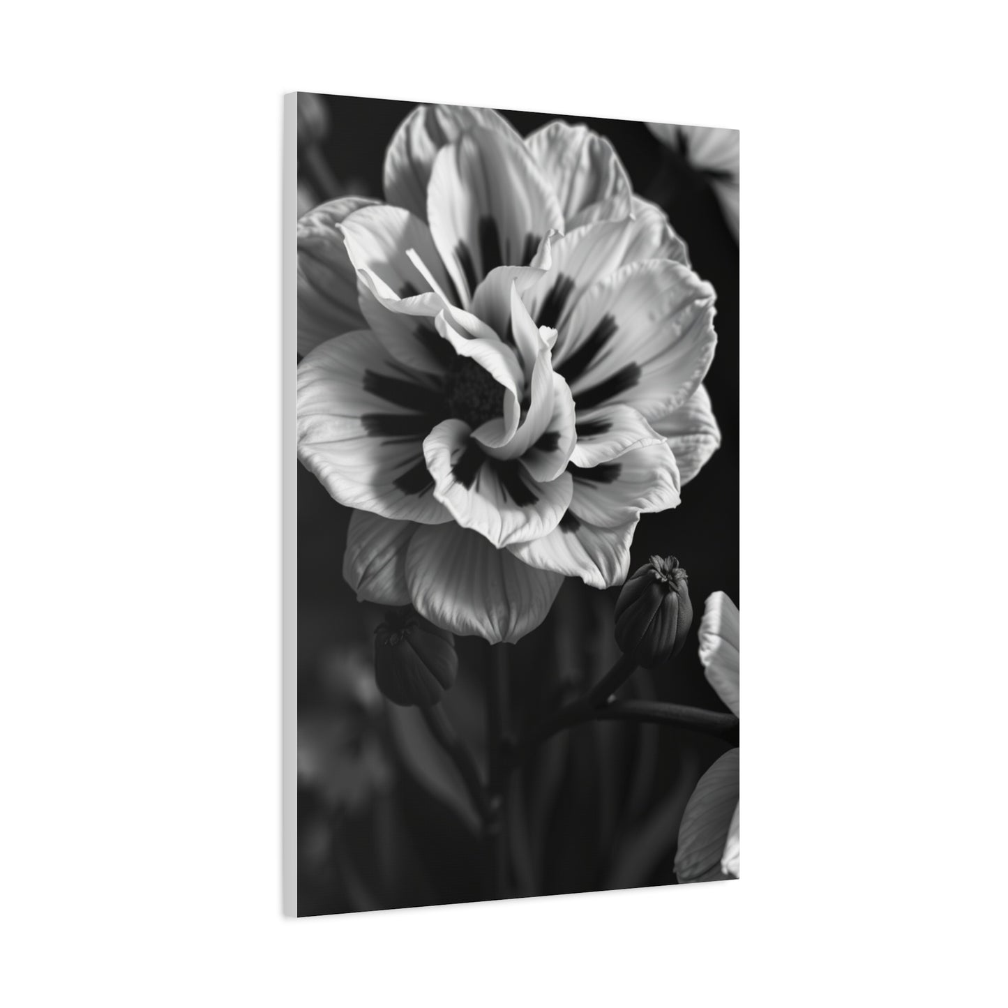 Chiaroscuro Botanical Canvas Wall Art & Canvas Print