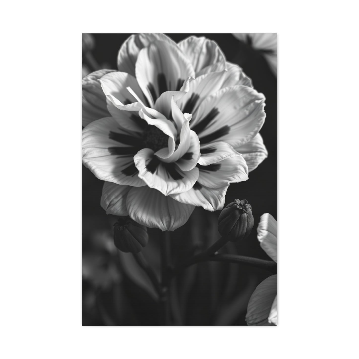 Chiaroscuro Botanical Canvas Wall Art & Canvas Print