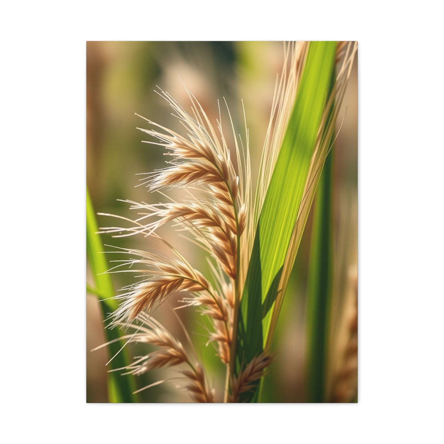 Sumptuous Plant Canvas Wall Art & Canvas Print