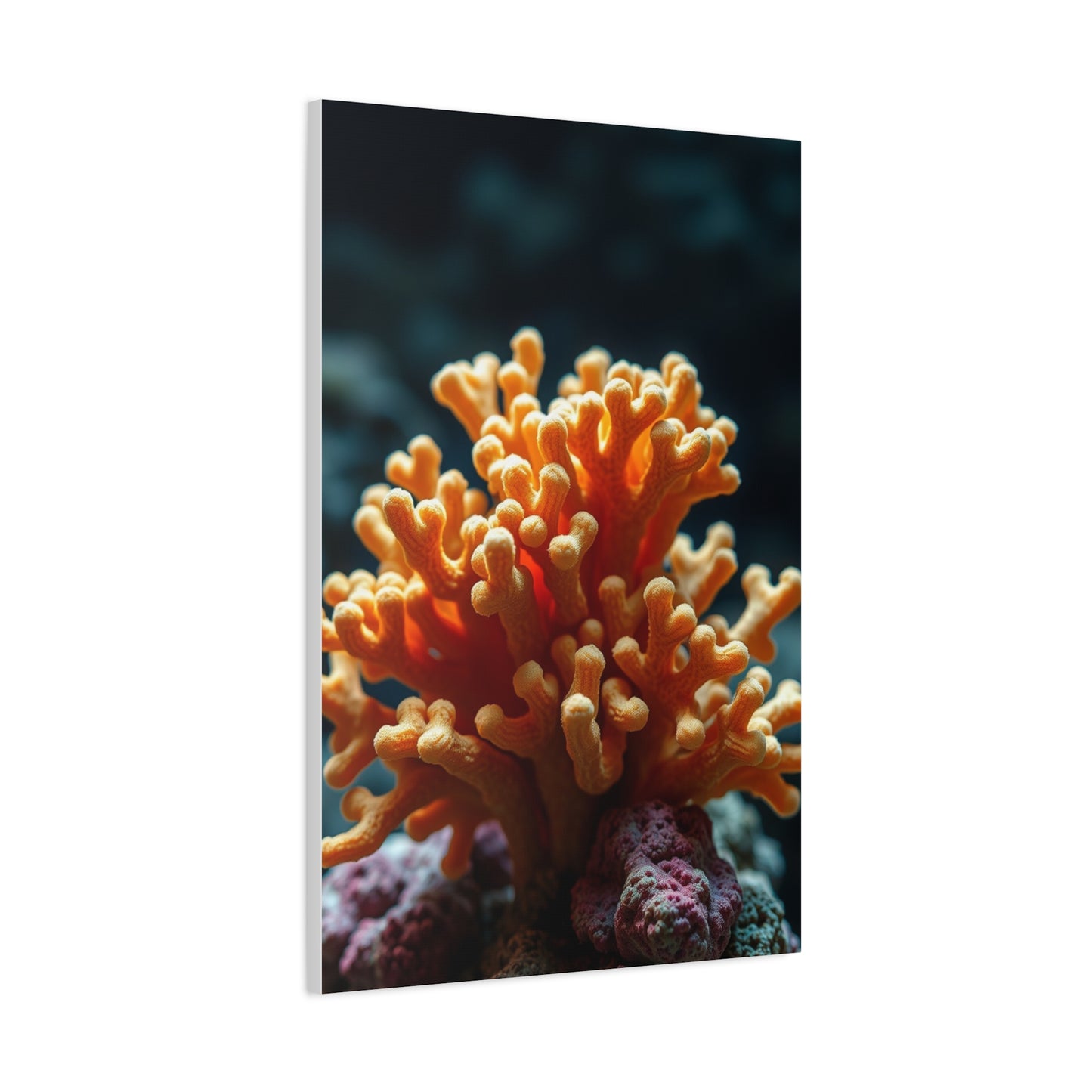 Supreme Coral Art Collection Wall Art & Canvas Print