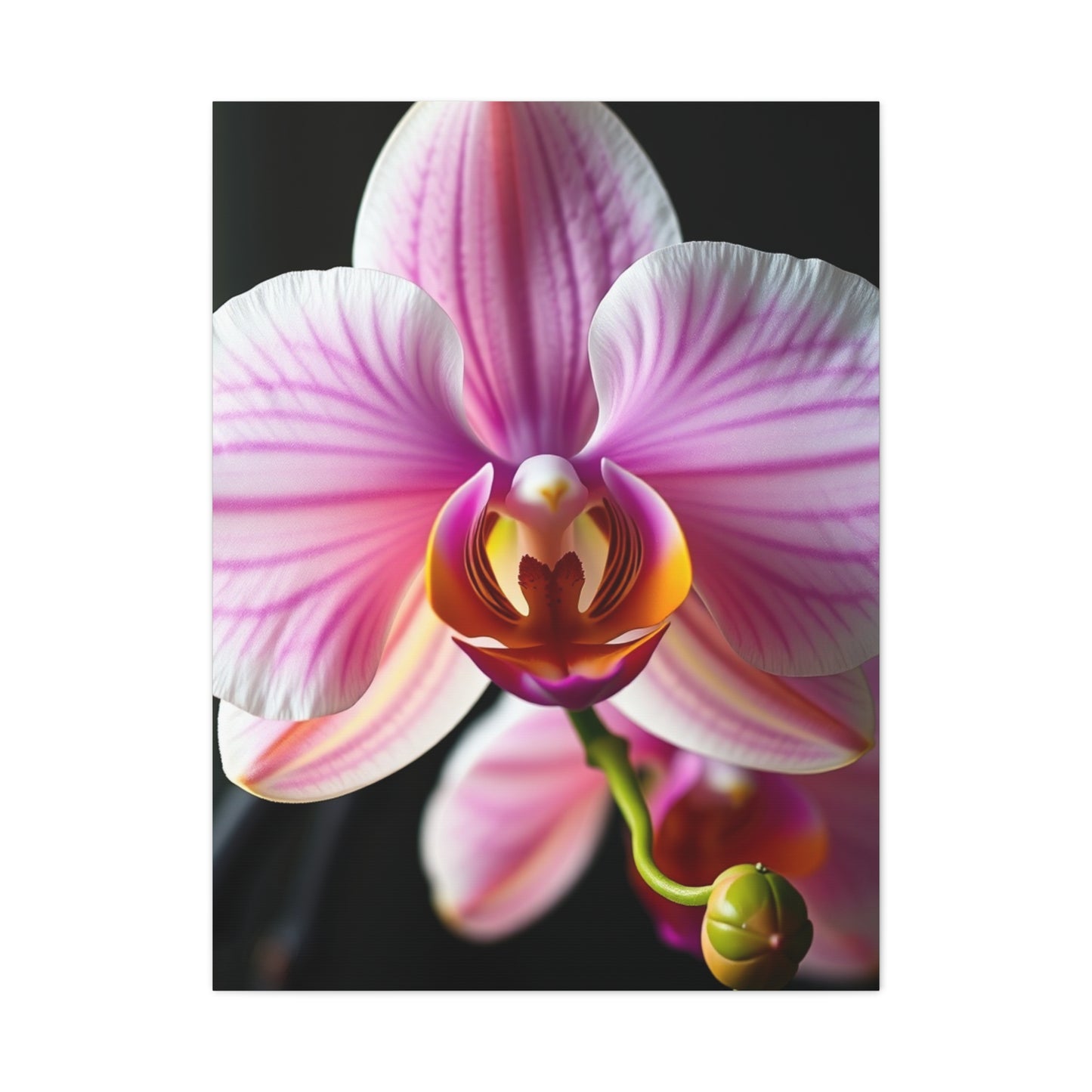Vision Orchid Flower Art Art Wall Art & Canvas Print