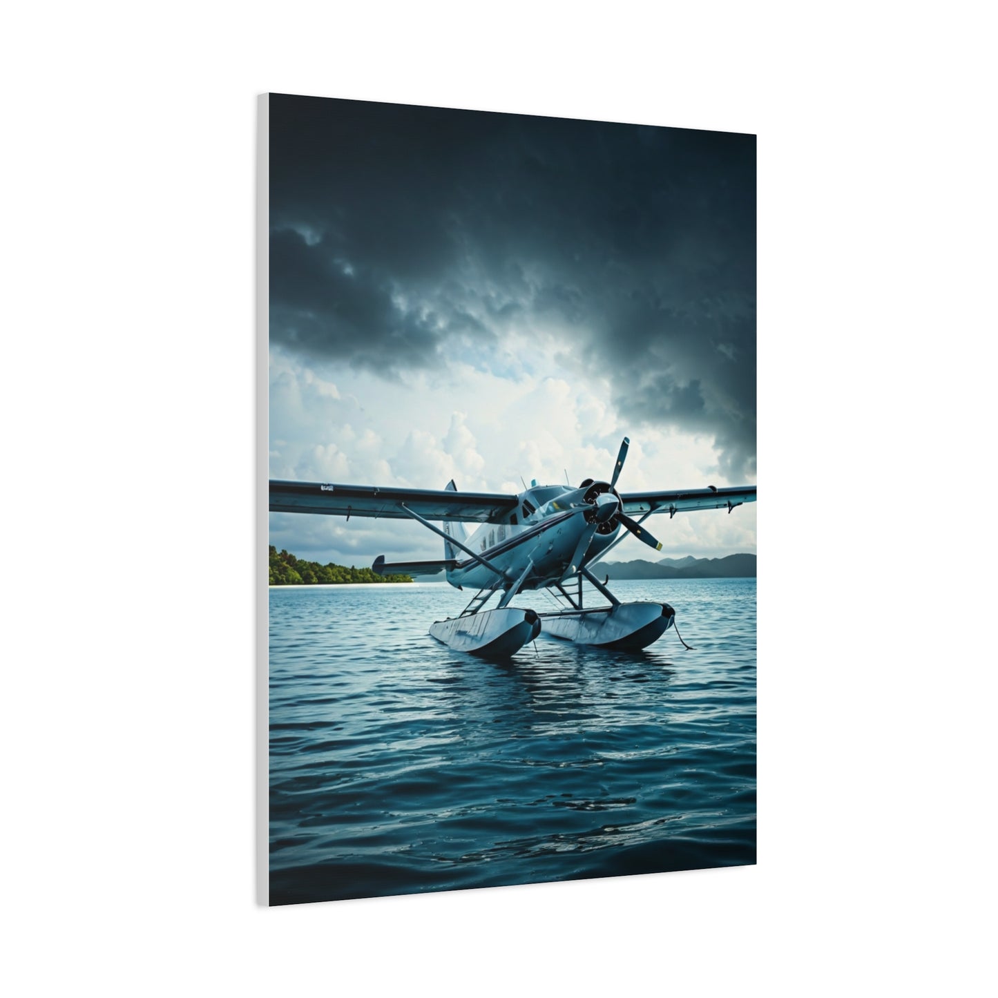 Seaplane Landing on Calm Waters Wall Art & Canvas Prints