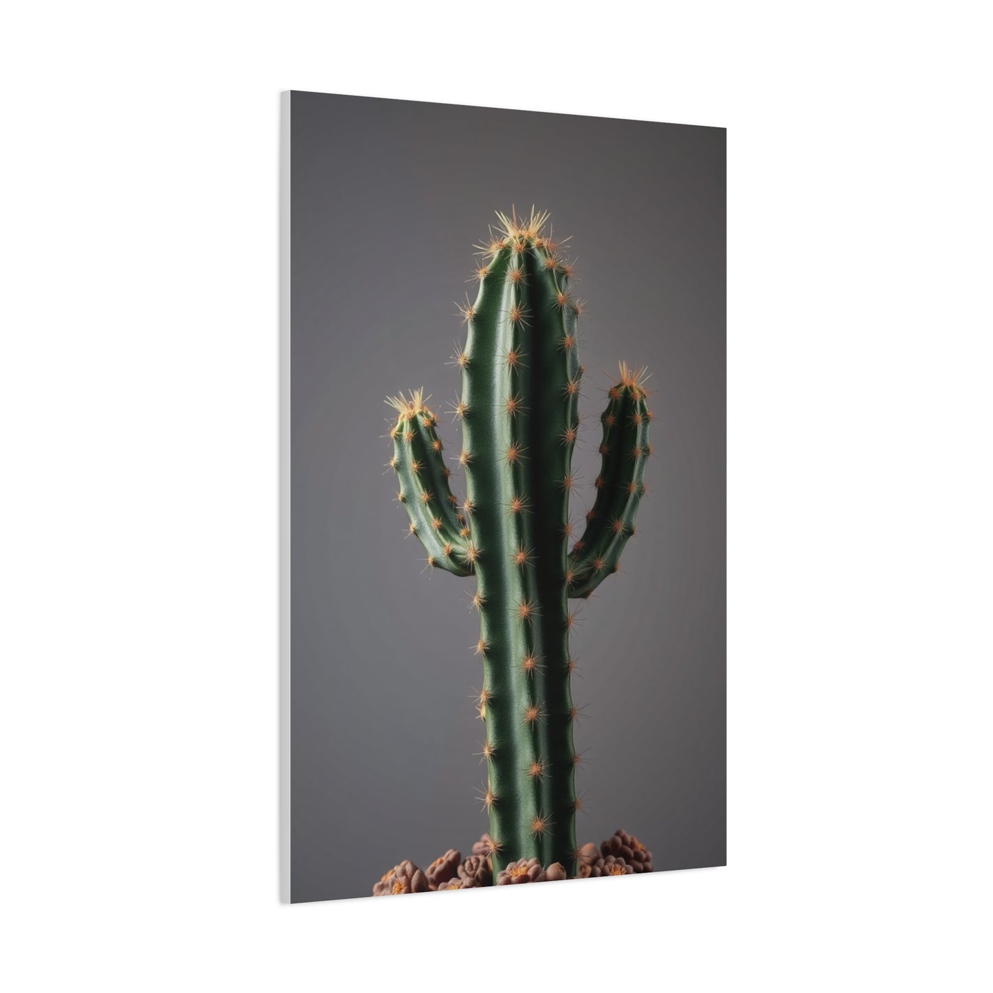 Succulent Reverie Art Wall Art & Canvas Print