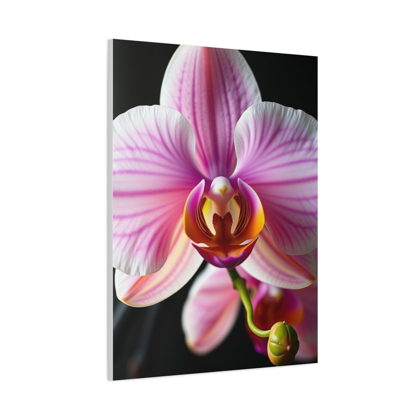 Vision Orchid Flower Art Art Wall Art & Canvas Print