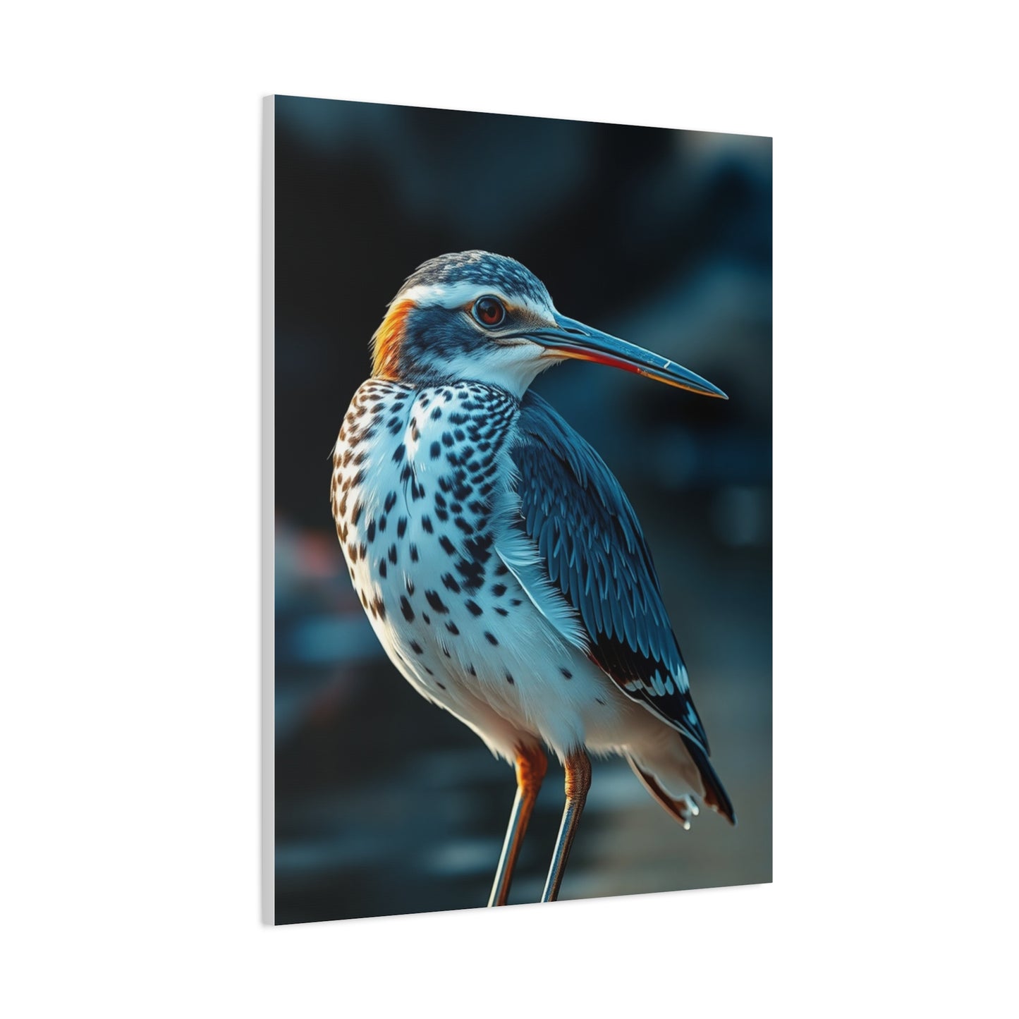 Masterpiece Sandpiper Art Vision Wall Art & Canvas Print