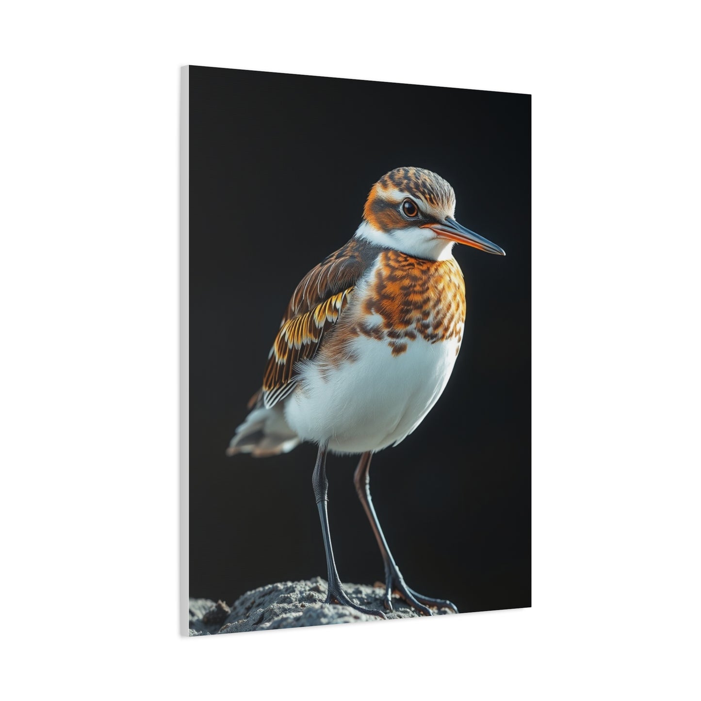Sandpiper Art Refined Canvas Wall Art & Canvas Print