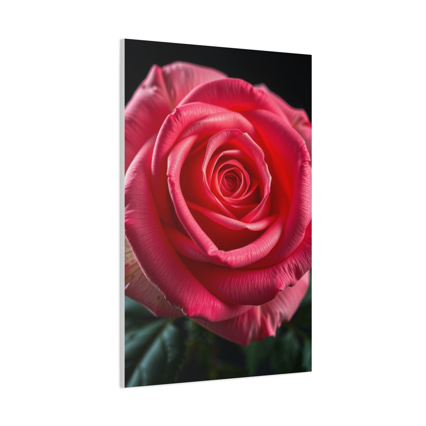 Supreme Rose Art Collection Wall Art & Canvas Print