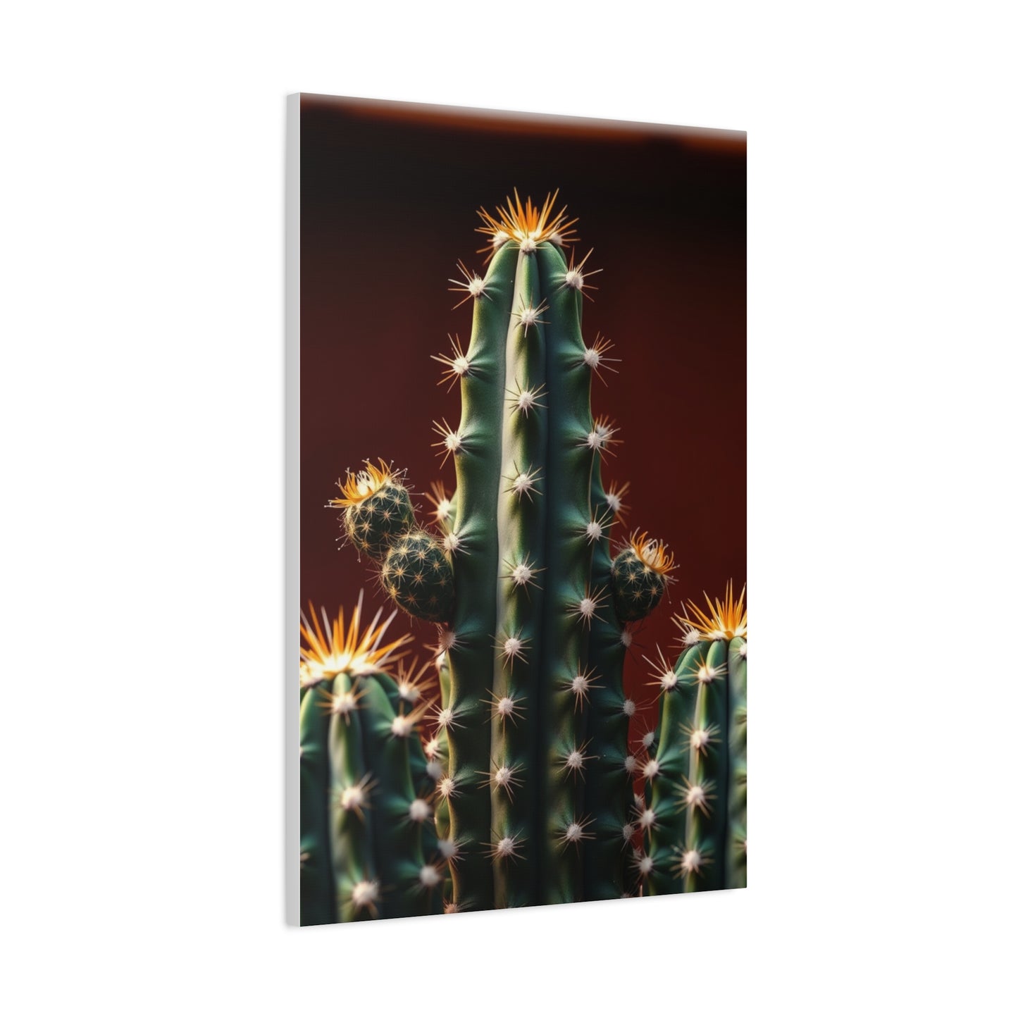 Prickly Serenity Artwork Wall Art & Canvas Print