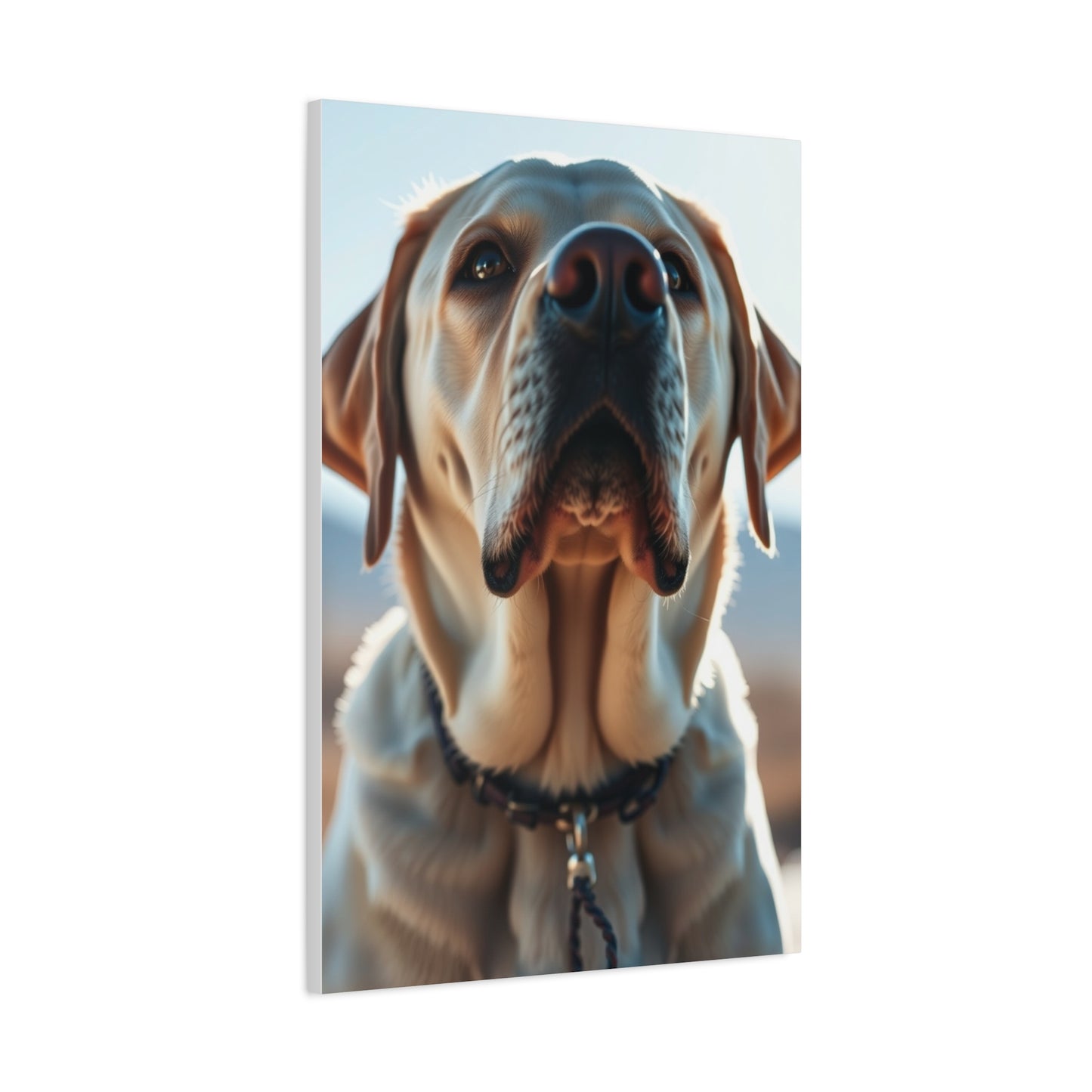 Supreme Labrador Retriever Art Collection Wall Art & Canvas Print