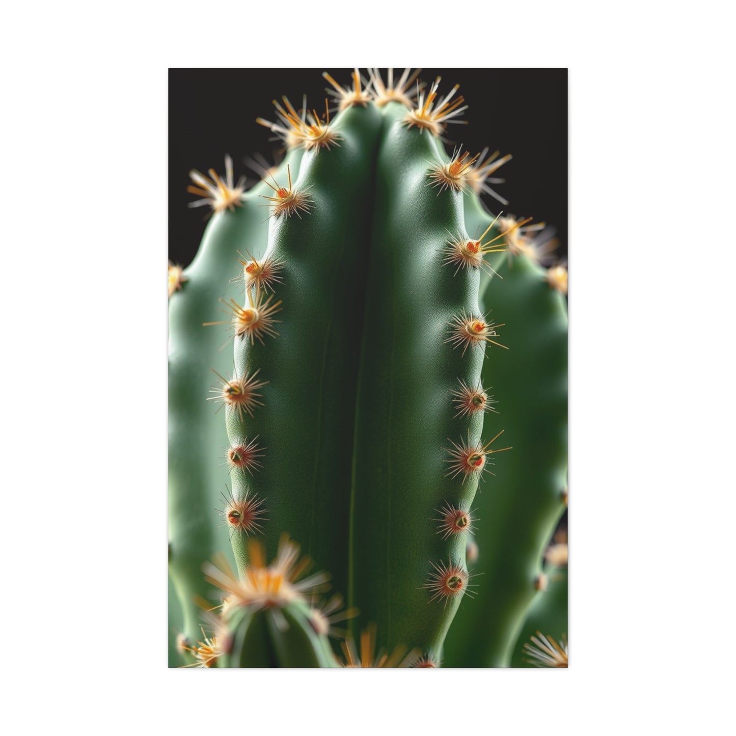 Arid Majesty Canvas Wall Art & Canvas Print