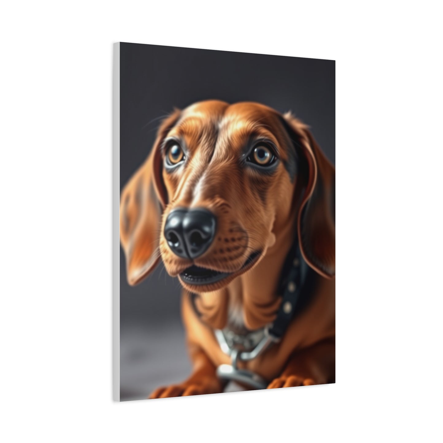 Collection Dachshund Art Art Wall Art & Canvas Print
