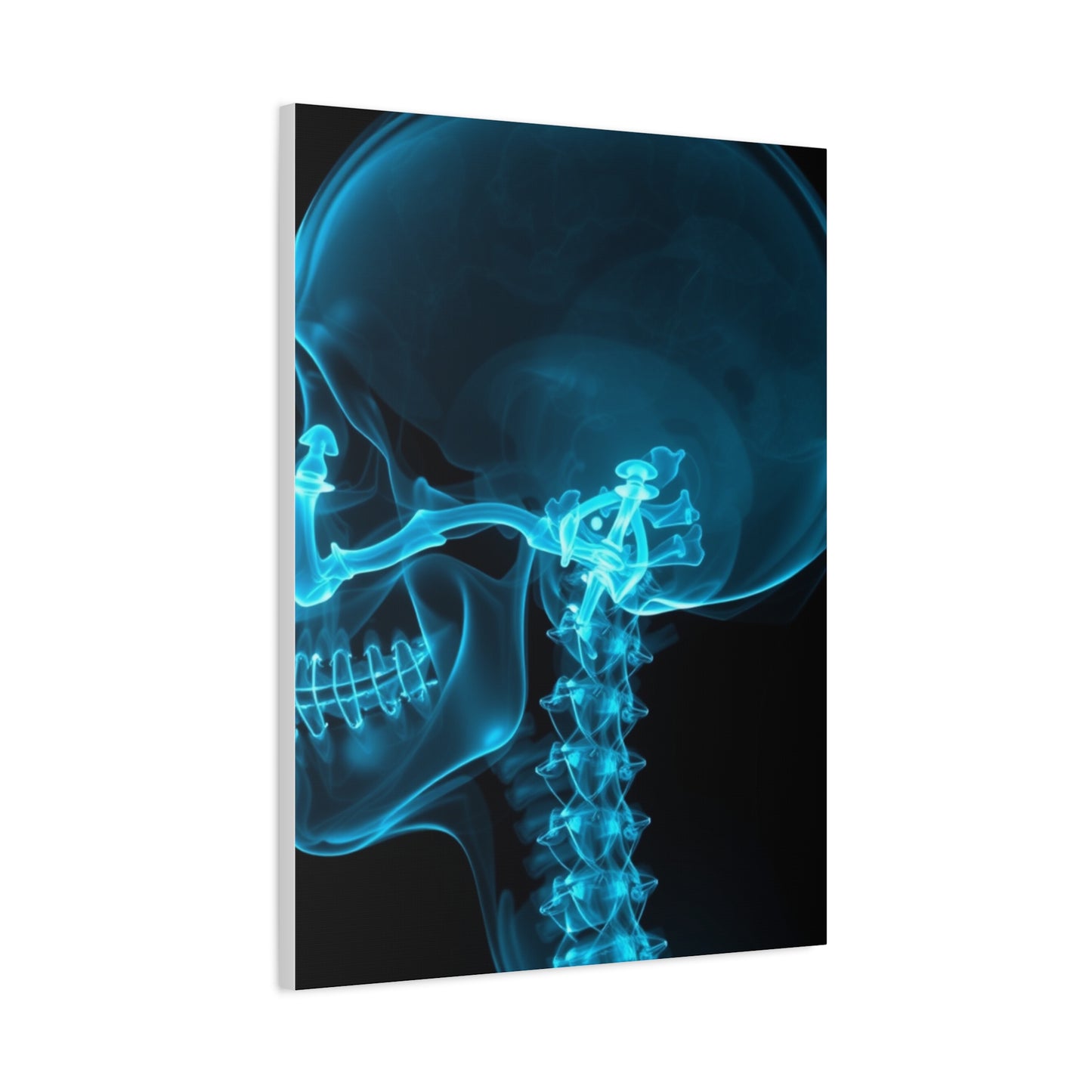 Masterpiece X-Ray Photography Art Vision Wall Art & Canvas Print