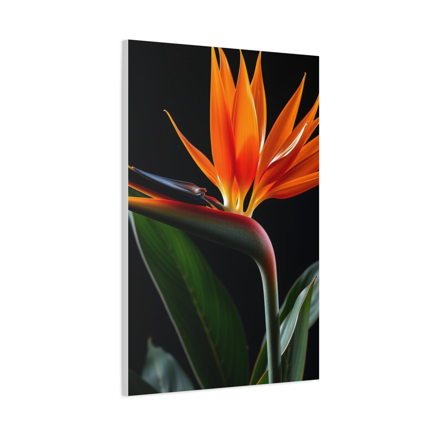 Masterpiece Bird of Paradise Plant Art Vision Wall Art & Canvas Print