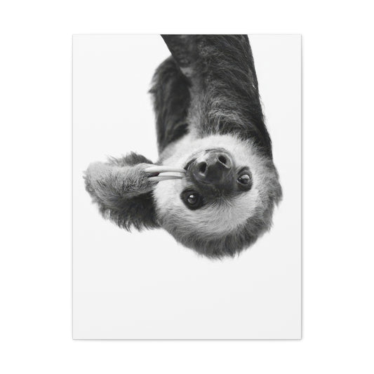 Kathrin Pienaar Sloth Wall Art & Canvas Prints
