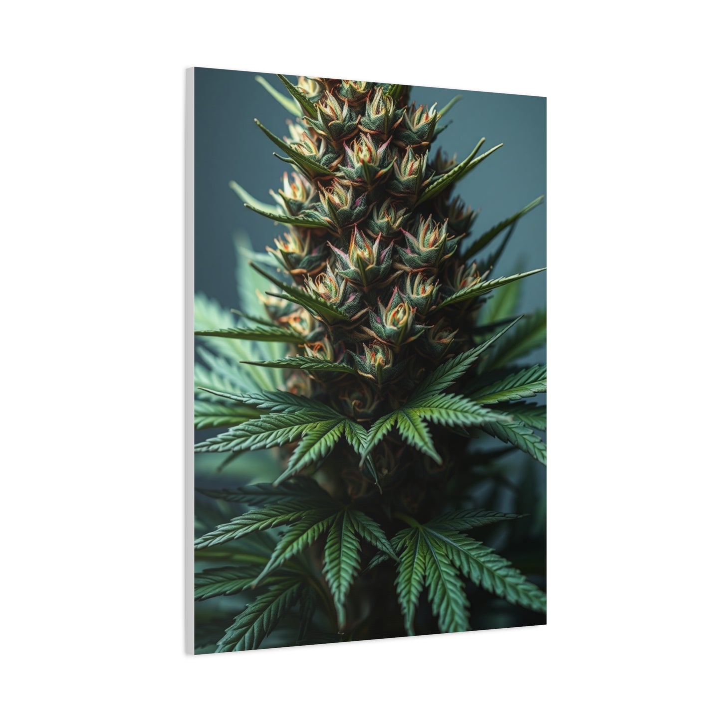 Emerald Reverie Art Wall Art & Canvas Print