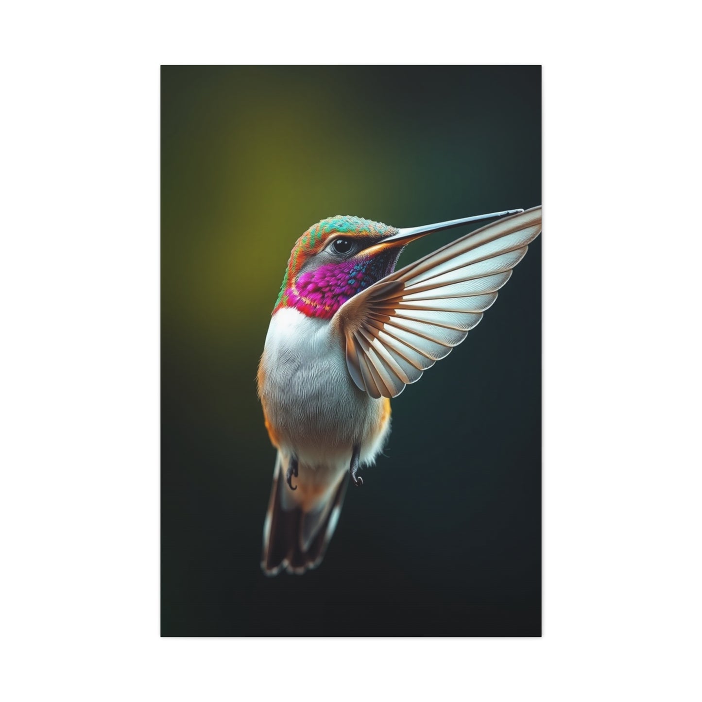 Humming Bird Art Supreme Gallery Wall Art & Canvas Print
