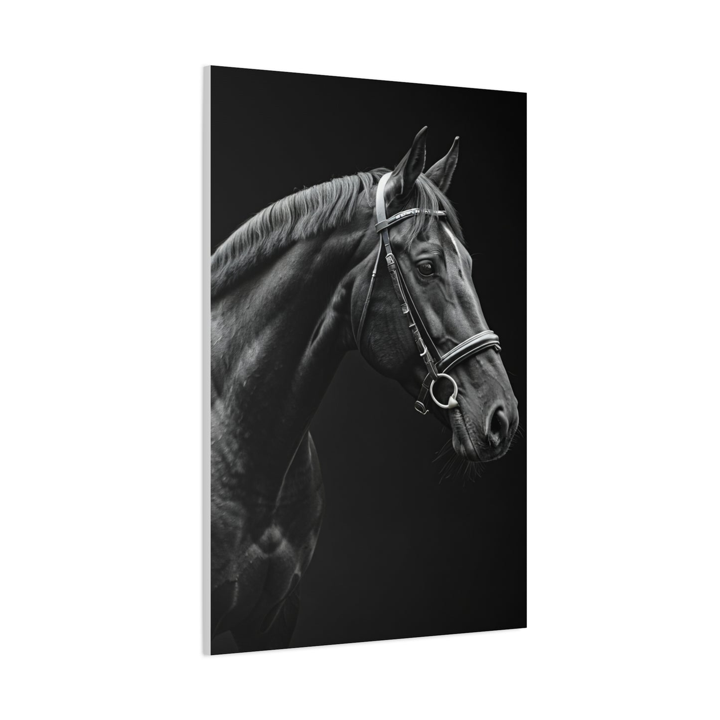 Elegant Black Stallion Profile Wall Art & Canvas Prints