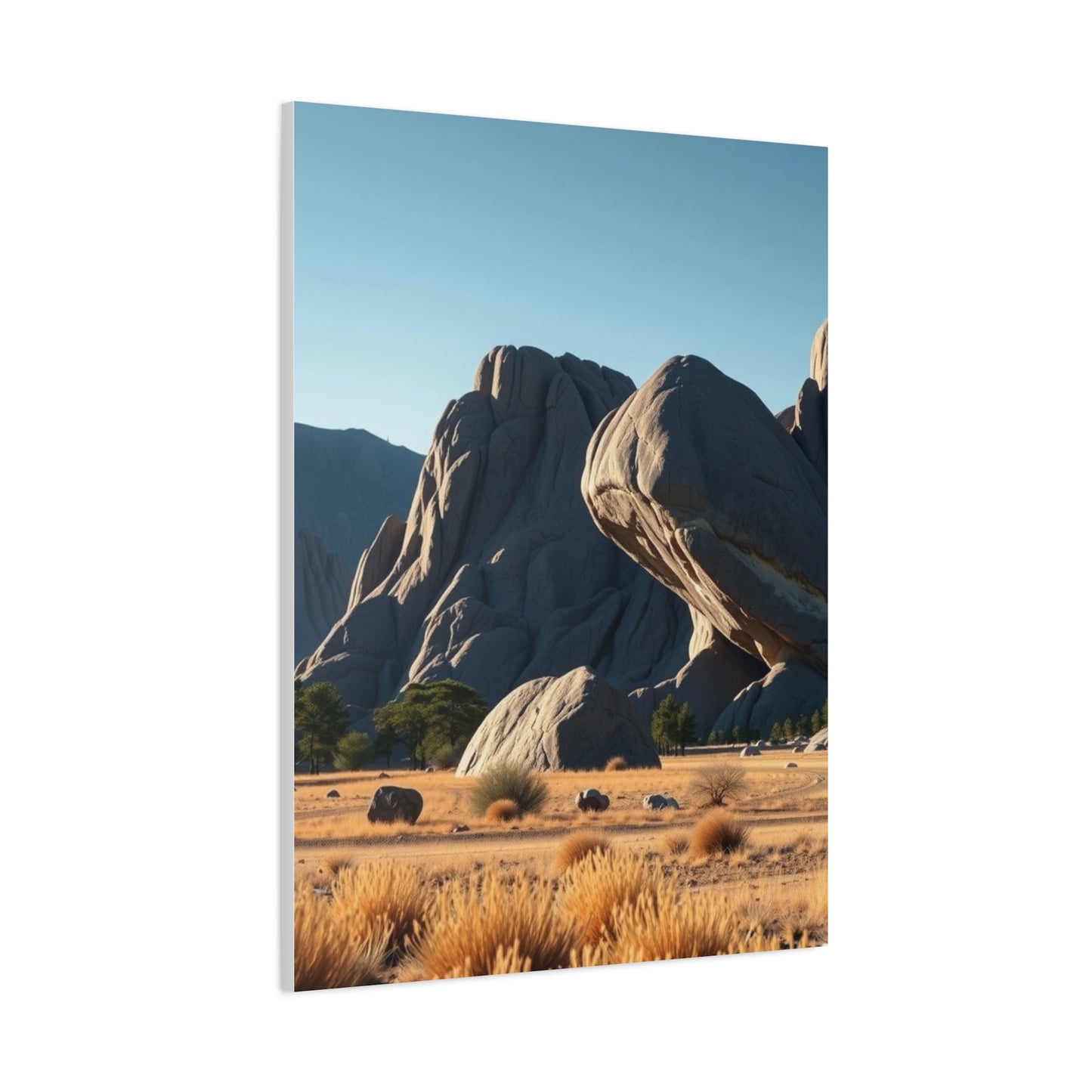 Boulder Art Luxury Canvas Wall Art & Canvas Print