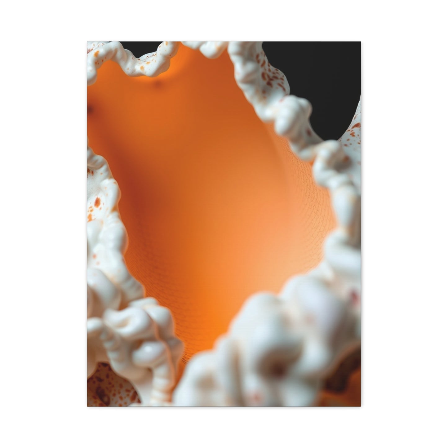 Supreme Sea Shell Art Collection Wall Art & Canvas Print