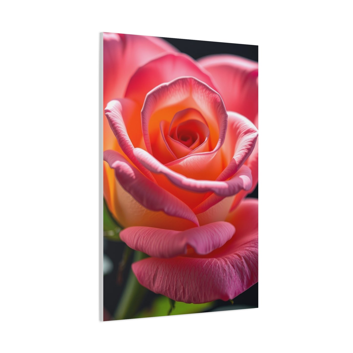 Rose Flower Art Supreme Gallery Wall Art & Canvas Print